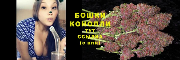 мяу мяу мука Балабаново