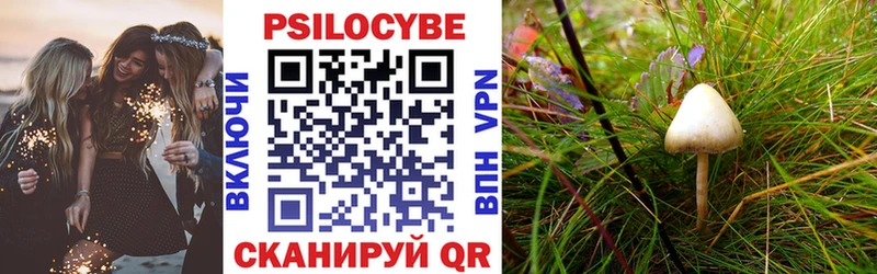 Галлюциногенные грибы Cubensis  цены наркотик  Морозовск 